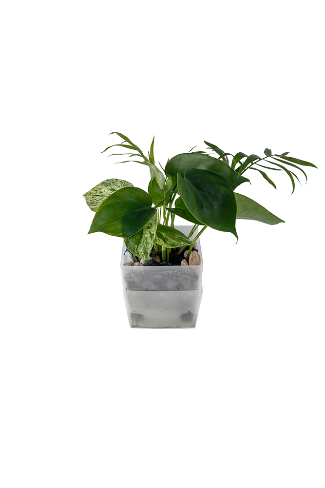 Bepflanzter vertical pot
