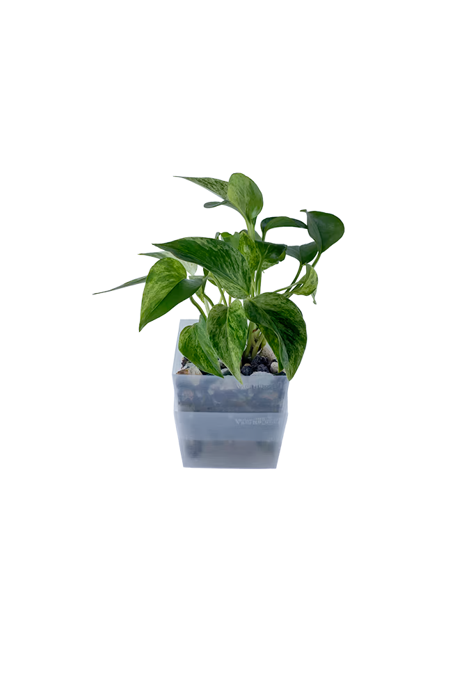 Bepflanzter vertical pot