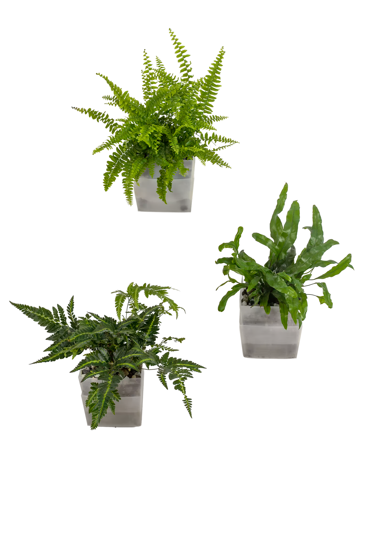 3er-Set dot