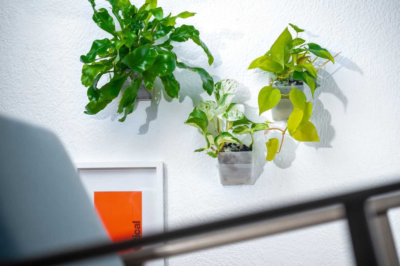Drei vertical pot Wandtöpfe mit verschiedenen grünen Zimmerpflanzen an weißer Wand – Vertical Garden Einrichtung im minimalistischen Stil