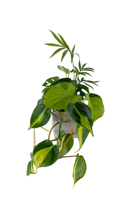 Bepflanzter vertical pot