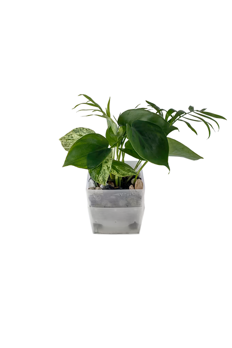 Bepflanzter vertical pot
