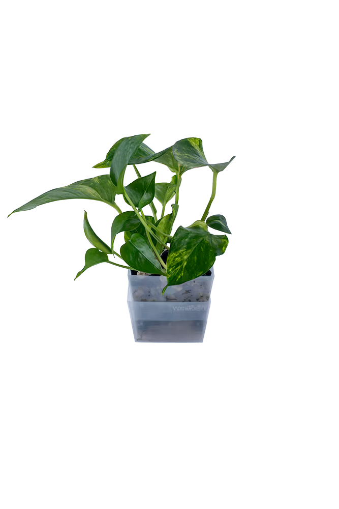 Bepflanzter vertical pot