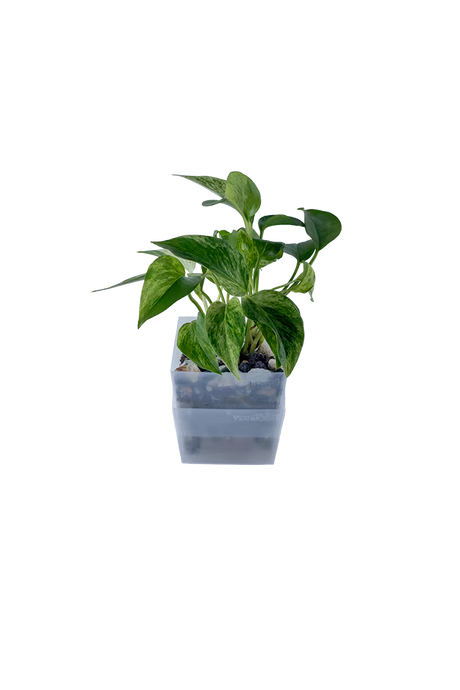 Bepflanzter vertical pot