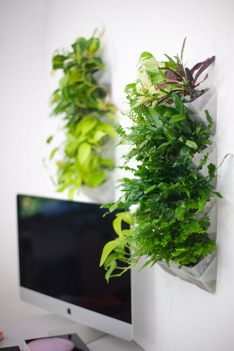vertical pot