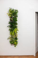 vertical pot