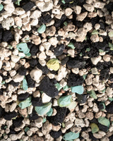 Mineralisches Substrat für Zimmerpflanzen in Nahaufnahme – helle, poröse Steinchen für optimale Belüftung und Drainage