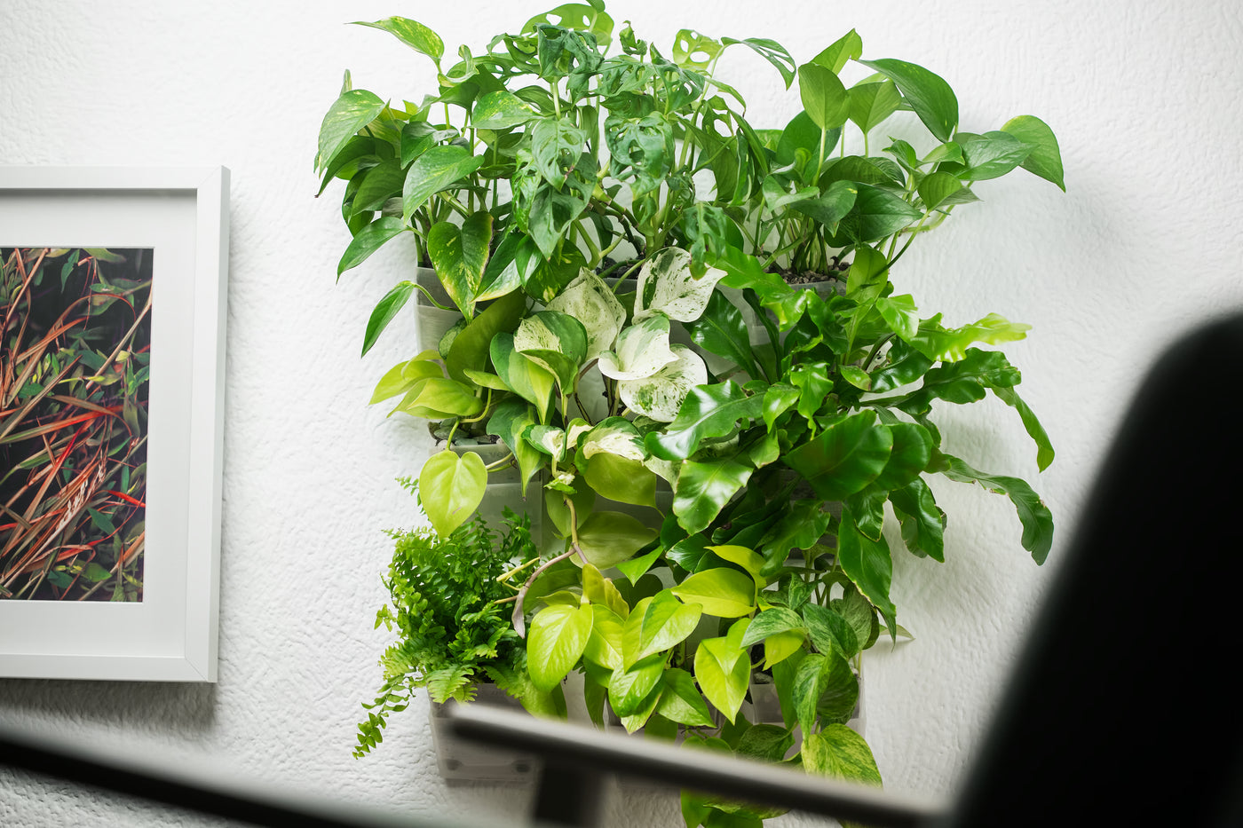 Dichte grüne Pflanzenwand aus vertical pot Wandtöpfen mit verschiedenen Zimmerpflanzen – Urban Jungle Look für modernes Wohnen