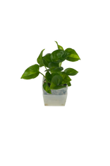 Efeutute Global Green - vertical