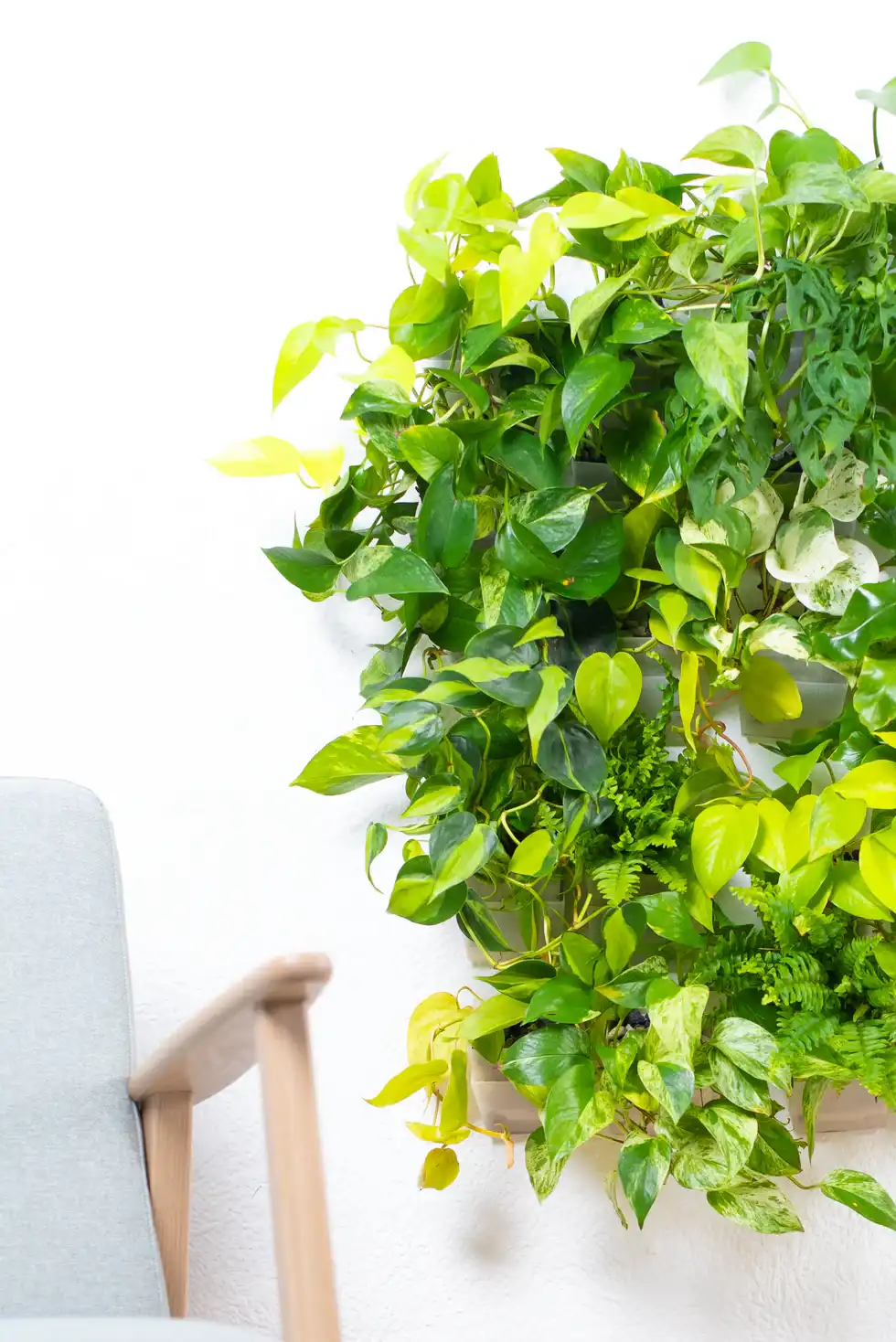 vertical pot - vertical