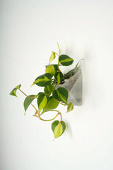 vertical pot - vertical